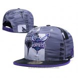 Gorra Charlotte Hornets Gris