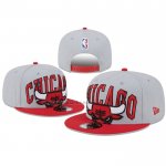 Gorra Chicago Bulls Adjustable 2023 Tip Off Two Tone 9FIFTY Gris