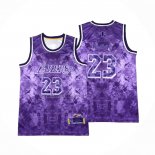 Camiseta Los Angeles Lakers LeBron James NO 23 Select Series 2023 Violeta