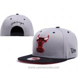 Gorra Chicago Bulls Snapback Gris